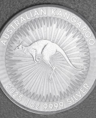 iiSilbermnze_250_x_1oz_Knguru_aktueller_Jahrgang_Masterbox_Australien_3